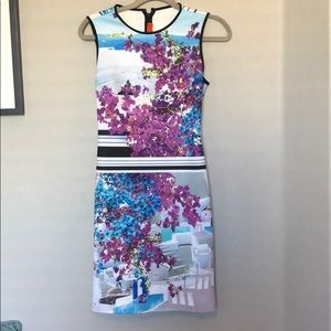 Clover Canyon Dress